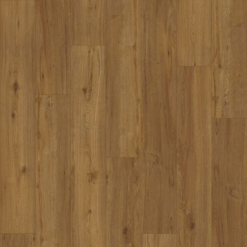Davenport Chilean Hazel